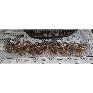 Pier One Set‎ Of 7 Beaded Napkin Rings Fall Starburst Red Brown Green Orange